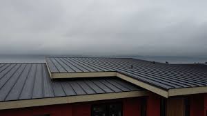 Roof Coating Services in East Shoreham, NY